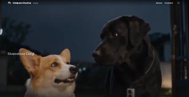 Binge template